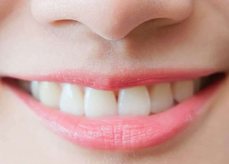 ウミガメのスープ　妻の愛妻弁当