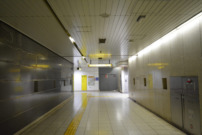 モミジDr.のリカバリー日記 第364回「脱出」